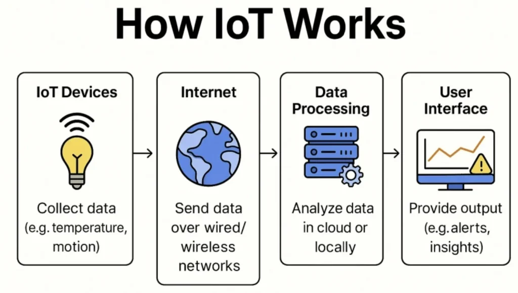 Infographic titled "How IoT Works" showing the four-step Internet of Things workflow. Step 1: IoT devices collect data, such as temperature or motion, illustrated with a light bulb and wireless signal. Step 2: Data is transmitted over wired or wireless networks via the internet, represented by a globe. Step 3: Data is processed and analyzed in the cloud or locally, shown with server icons. Step 4: Results are displayed through a user interface, such as a dashboard with charts, alerts, and insights, illustrated by a computer monitor. Arrows connect each step from left to right, showing the flow of data.